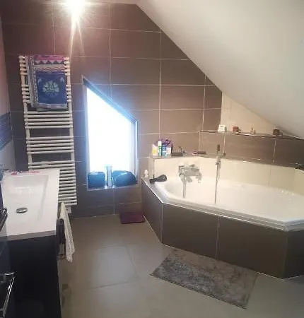 Chez Manu ホームステイ Voellerdingen