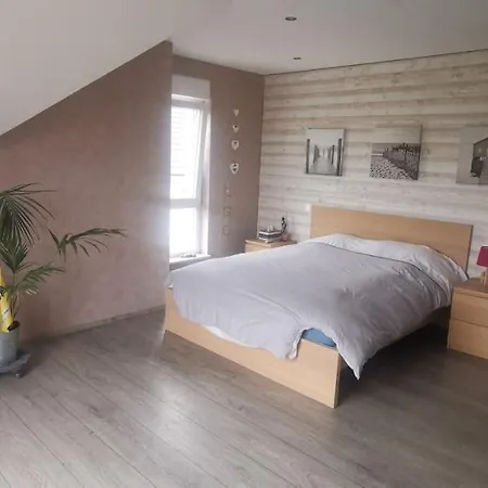 Chez Manu ホームステイ Voellerdingen