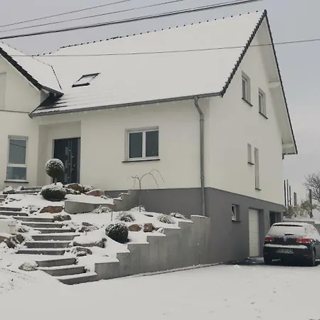 Chez Manu ホームステイ Voellerdingen