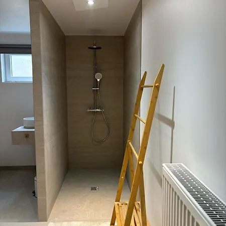 Chez Manu ホームステイ Voellerdingen