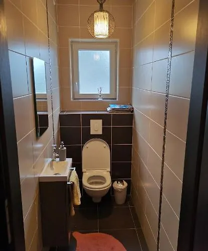 Homestay Chez Manu Voellerdingen